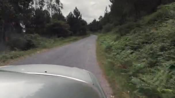 Carro Dirigindo Rápido Estrada Através Floresta Vista Lateral Janela Carro — Vídeo de Stock