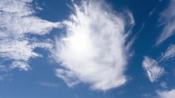 Witte Cumulus Wolken Bewegen Langzaam Een Blauwe Hemel Heldere Zonnige — Stockvideo