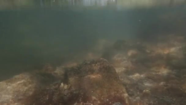 Podwodny Widok Rzekę Wodospad Tropikalnej Rzece Piękny Krajobraz Naturalny — Wideo stockowe