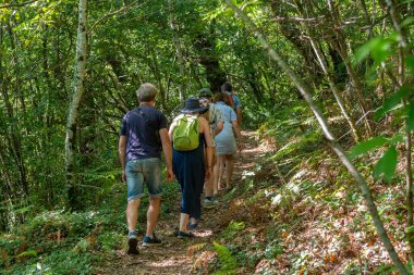Yeşil bir ormanda yürüyüş yapan bir grup turistin arka görüntüsü.