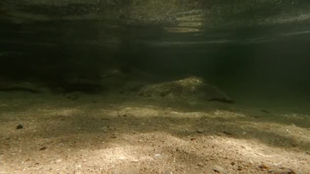 Zicht Van Onder Het Water Van Een Riviertje Helder Transparant — Stockvideo