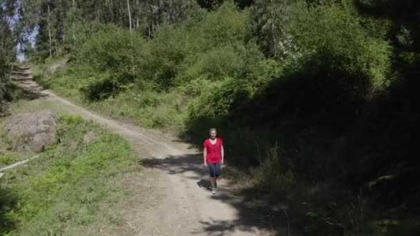 Visão Aérea Jovem Mulher Atraente Andando Longo Tiroteio Caminho Floresta — Vídeo de Stock