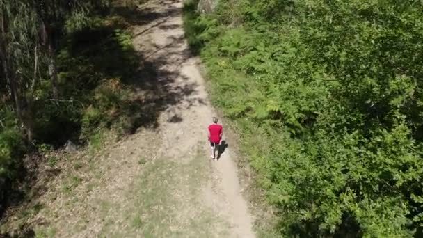Вид Воздуха Молодую Привлекательную Женщину Идущую Лесной Тропинке Стрельба Дрона — стоковое видео