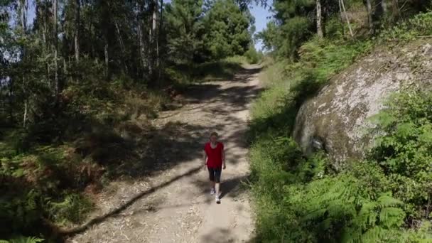 Antenn Utsikt Över Ung Attraktiv Kvinna Promenader Längs Skogsstig Skytte — Stockvideo