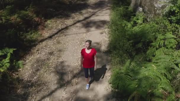 Pandangan Udara Wanita Muda Menarik Berjalan Sepanjang Jalan Hutan Menembak — Stok Video