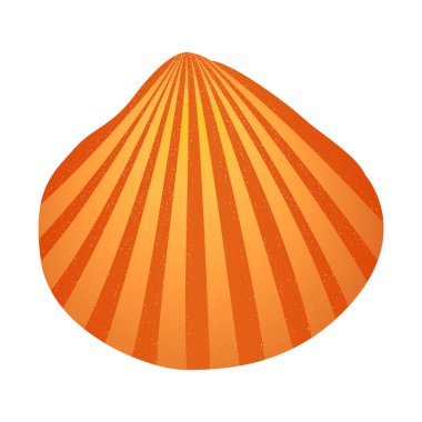 Payetlerle serpilen altın deniz kabuğu