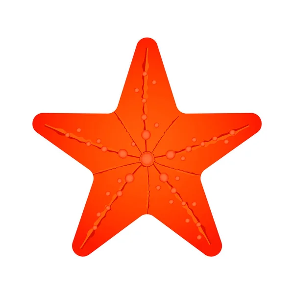 Orange perfect sea star. Isolated vector illustration — Stock Vector