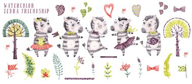 Sevimli suluboya karikatür zebra koleksiyonu