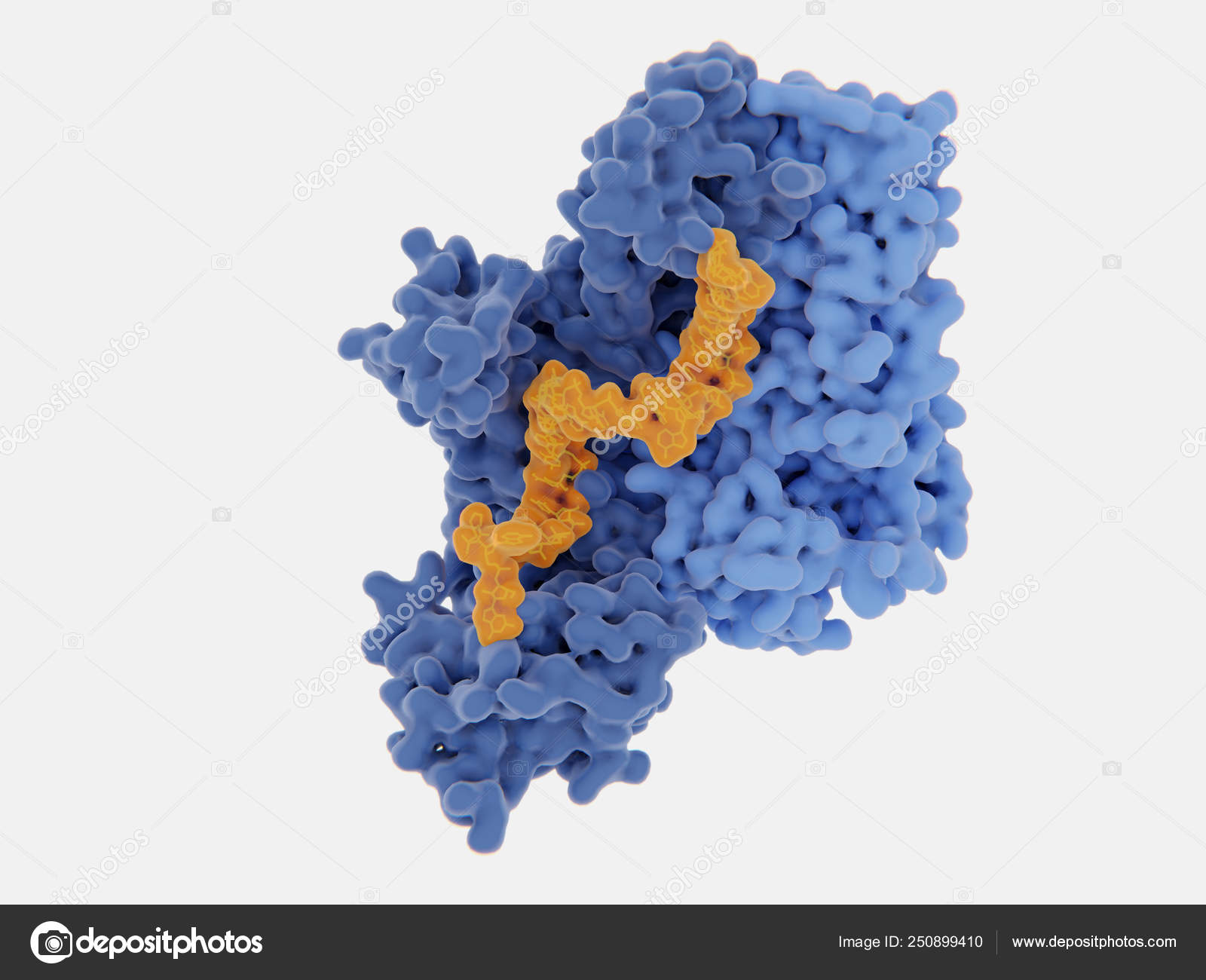 Human Immunodeficiency Virus Single Stranded Rna Genome Converted Double Stranded Stock Photo Image By C Animaxx3d Human Immunodeficiency Virus Single Stranded Rna Genome Converted Double Stranded Stock Photo Image By C Animaxx3d