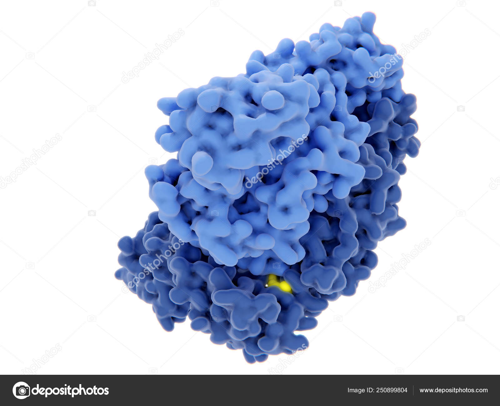 Human Immunodeficiency Virus Single Stranded Rna Genome Converted Double Stranded Stock Photo Image By C Animaxx3d Human Immunodeficiency Virus Single Stranded Rna Genome Converted Double Stranded Stock Photo Image By C Animaxx3d