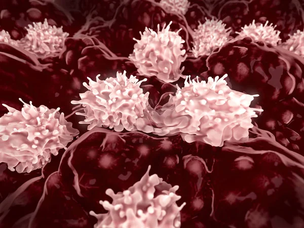 Computer Illustration Dividing Stem Cells Stem Cells Undifferentiated Cells Can — Stock Photo, Image