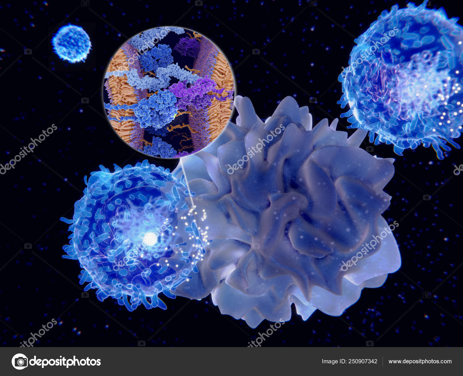Dendritikus sejtek helmint Dendritikus sejt – Wikipédia