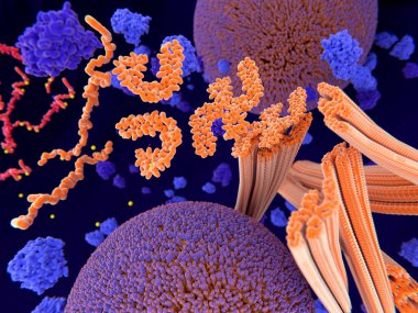 Patolojik fosforilasyon (sarı) Tau protein (kırmızı-turuncu) bir toplama tau protein microtubuli nöron axon içinde dağılması yol açar. Sinaptik veziküller (turuncu-mor küreler) ulaşım kesildi.