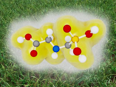 Glyphosate geniş spektrumlu bir herbisit ve kırpma kurutucu olduğunu. Bu ot birkaç aromatik amino asit sentezinde yer bir bitki enzimi engelleyerek öldürmek için kullanılır. 