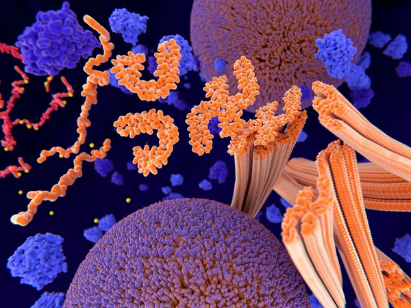 Patolojik fosforilasyon (sarı) Tau protein (kırmızı-turuncu) bir toplama tau protein microtubuli nöron axon içinde dağılması yol açar. Sinaptik veziküller (turuncu-mor küreler) ulaşım kesildi.