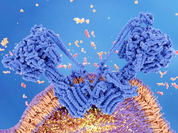 Atp Synthase Adp와 오렌지 양성자 그라데이션 노란색 만들어진 Atp 합성을 — 스톡 사진