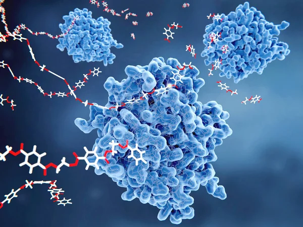 Petase Est Une Enzyme Bactérienne Qui Décompose Les Molécules Pet — Photo