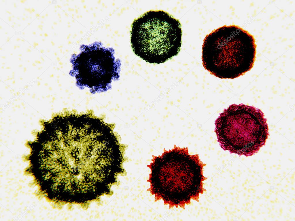 From bottom left, clockwise: influenza virus, norovirus, coxsackie virus, enterovirus D68, poliovirus, adeno associated virus. A virus is an infectious particle smaller than a bacterium and can only reproduce himself after infecting a host cell. They