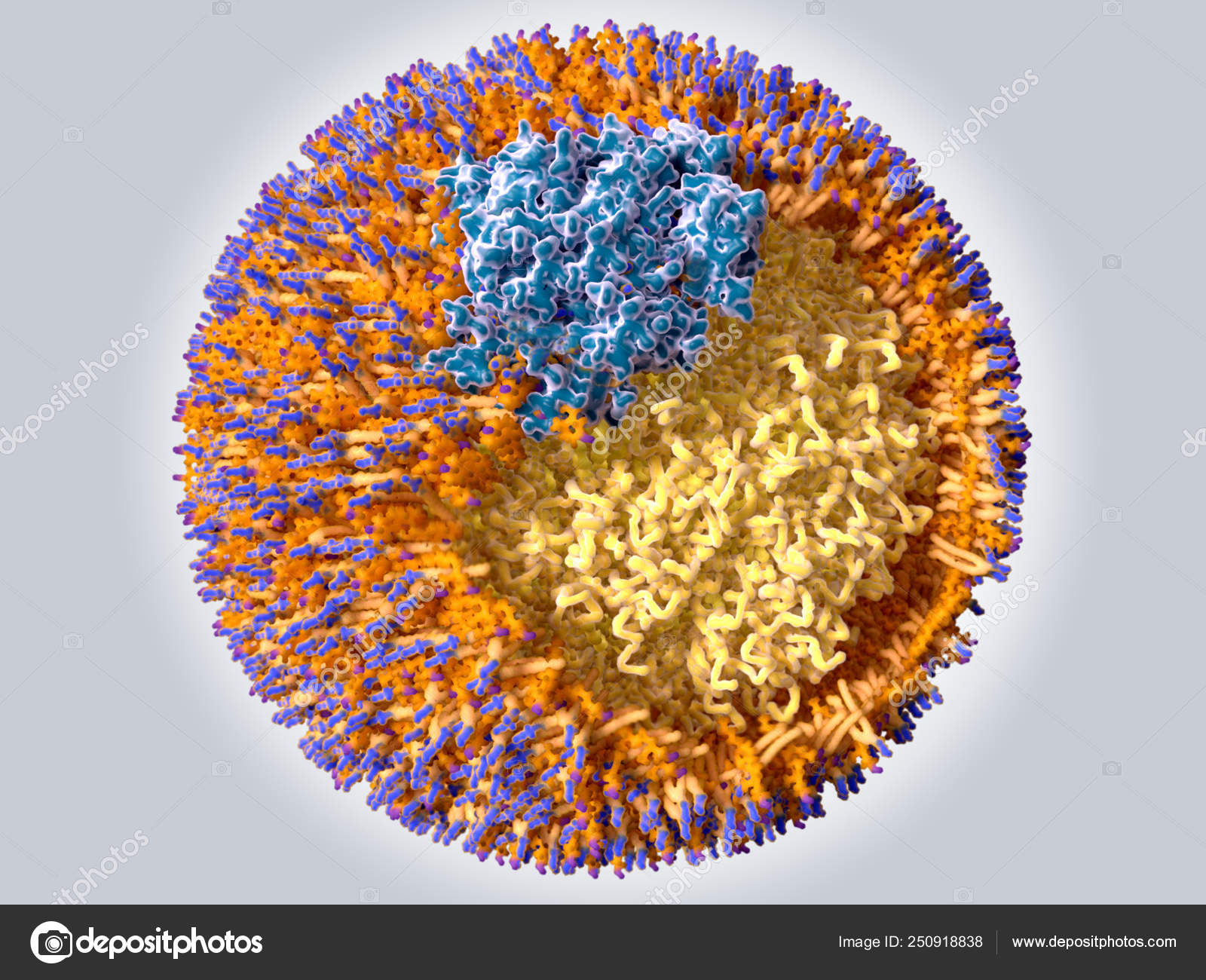 Colesterol de lipoproteinas de baja densidad