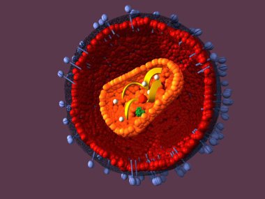 Aids virus scientific illustration clipart