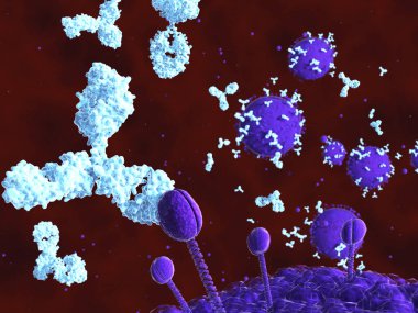 Antikorlar ve HIV. İllüstrasyon