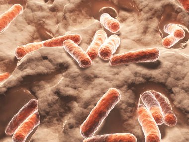 Bacteria, bacilli scientific Illustration clipart