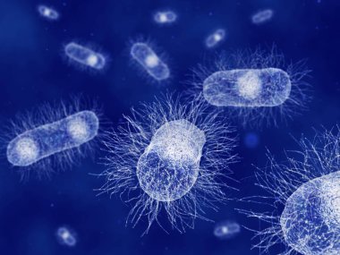 Escherichia coli bakteri illüstrasyon