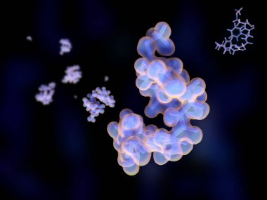 Endorfin (bir araya geldi-enkephalin) endorfin endojen opioid neuropeptids vardır. Bu merkezi sinir sistemi ve hipofiz bezi tarafından ayrılmış. İllüstrasyon