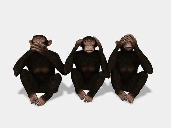 See Nothing Hear Nothing Say Nothing Monkeys Illustration — Stock Photo, Image