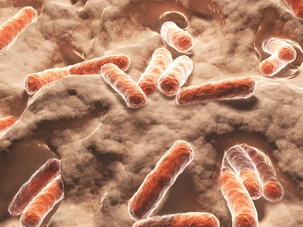 Batteri Bacilli Illustrazione Scientifica — Foto Stock