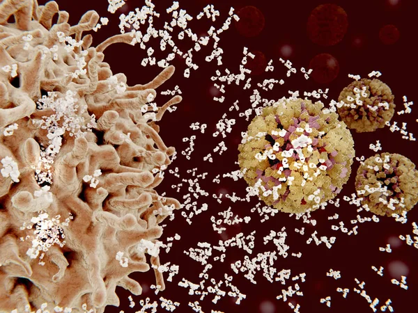 Las Células Plasmáticas Células Segregan Anticuerpos Específicos Para Marcar Virus —  Fotos de Stock
