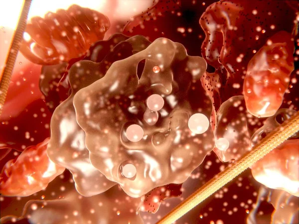 細胞オルガネラ科学イラスト — ストック写真