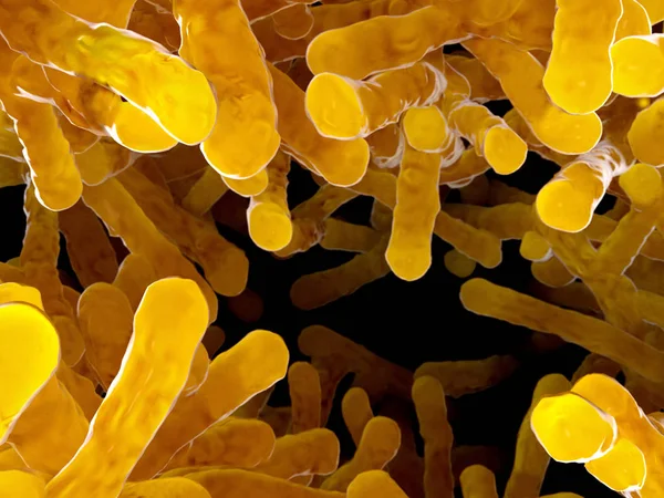 Uma Colônia Bacteriana Bacilos Renderização Ilustração — Fotografia de Stock