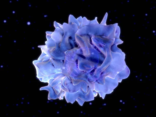 Komórka Dendrytyczna Renderowanie Komórki Dendrytyczne Komórkami Przedstawiącymi Antygen Układu Odpornościowego — Zdjęcie stockowe