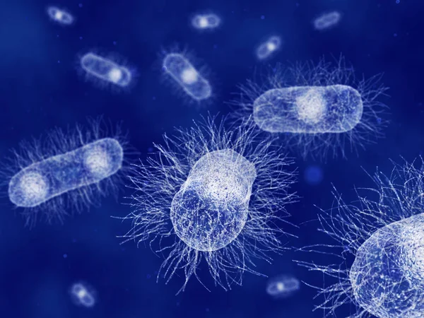 Escherichia coli bakteri illüstrasyon