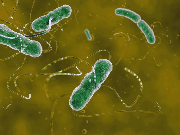 Ehec Bakteri Dijital Görselleştirme Llüstrasyon — Stok fotoğraf