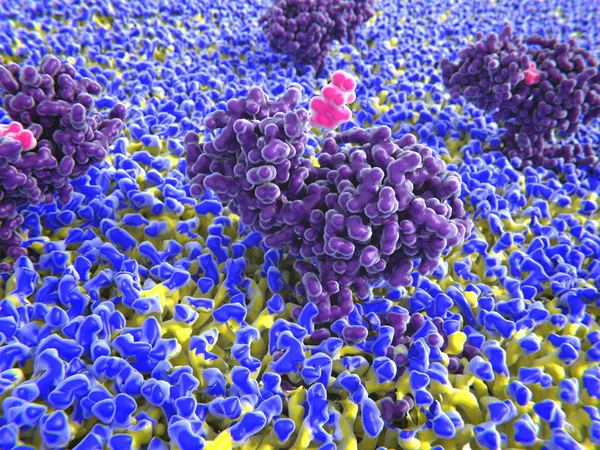 与组胺受体结合的组胺 组胺参与免疫反应 — 图库照片
