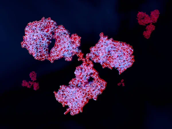 Структура Антител Синие Линии Полипептидные Цепи Рендеринг Иллюстрация — стоковое фото