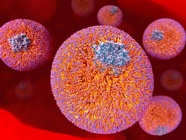 Kan akışı düşük yoğunluklu lipoprotein (Ldl) parçacıklar LDL parçacıkları diğer organ ve dokulara kan plazma karaciğer üzerinden su çözünmez lipidler taşıma. İllüstrasyon