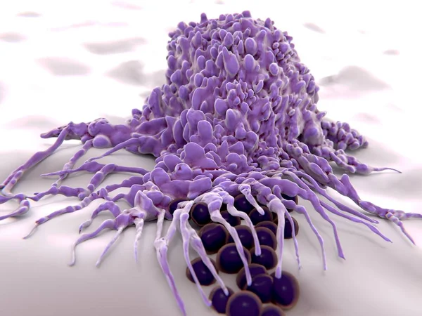 Bakteri (cocci), 3d Render içine çeken Macrophag. Makrofajlar yutmak ve hücresel artıkları ve patojenler sindirmek. -İllüstrasyon