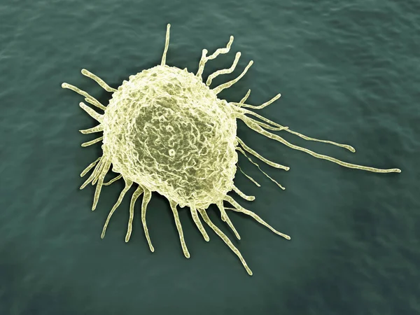 Міграція Ракових Клітин Ілюстрація — стокове фото