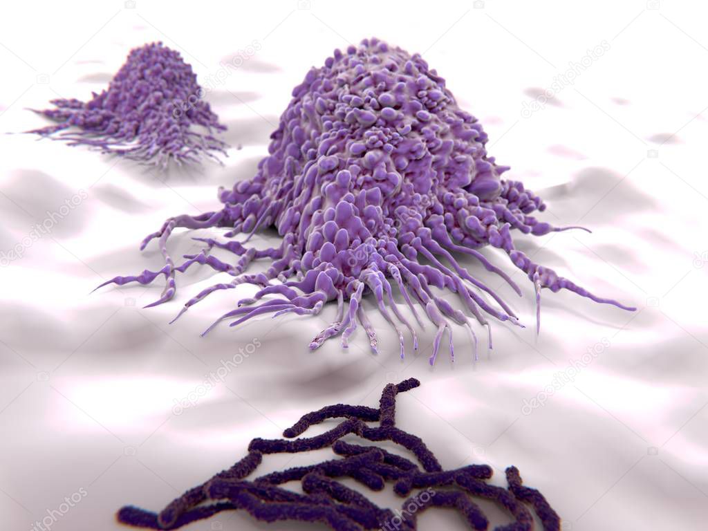 Macrophages approaching bacteria (bacilli), 3D rendering. Illustration