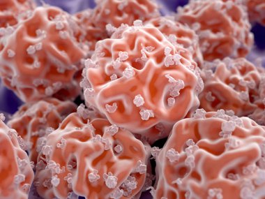 Human Stem cells. Illustration clipart