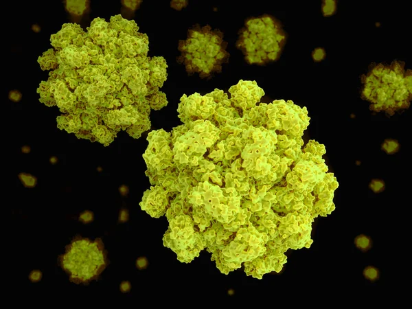 Norovirus Illusztráció Fekete Háttér — Stock Fotó