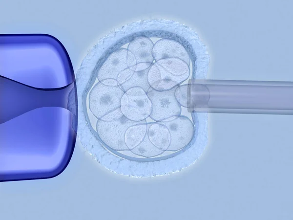 Extração Células Estaminais Embrionárias Ilustração — Fotografia de Stock