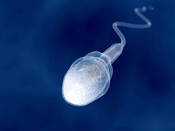 Mavi arka plan üzerinde insan sperm. İllüstrasyon