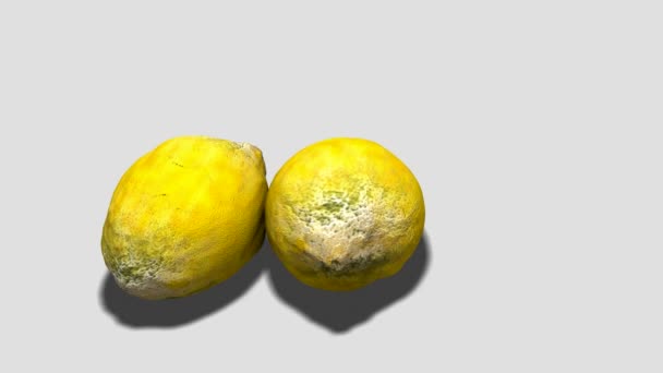 Melacak Tembakan Lemon Tumbuh Jamur — Stok Video