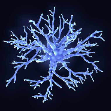 Protoplazmik astrocyte