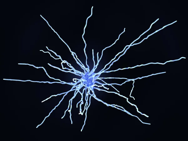 Vláknité astrocyt — Stock fotografie
