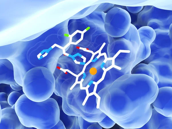 Флуконазол взаимодействует с гем-группой в активном участке ланостерола 14 альфа-деметилазы — стоковое фото